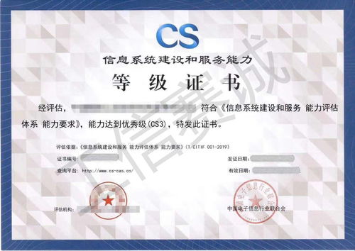 CS認證首次申請級別指南 軟件開發類企業可直接申請幾級？